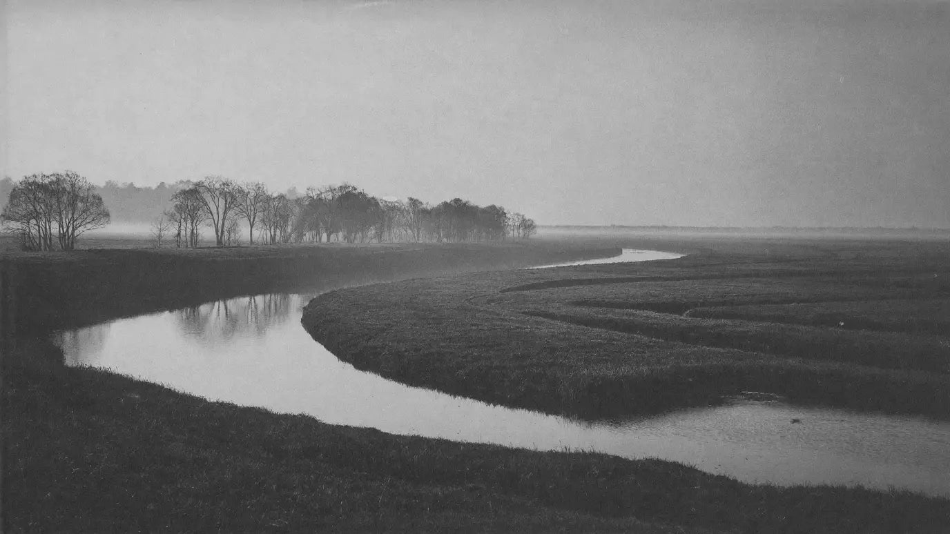 A calm river winding through flat wetlands at dawn, low mist on the water